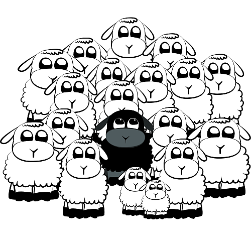 Obrazek czarnej owcy otoczonej białymi owcami różnej wielkości